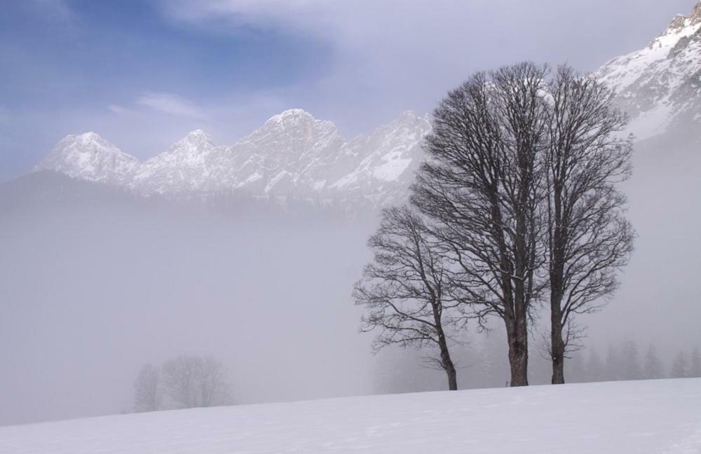 Bergfuehrerhaus Panzió Ramsau am Dachstein Kültér fotó