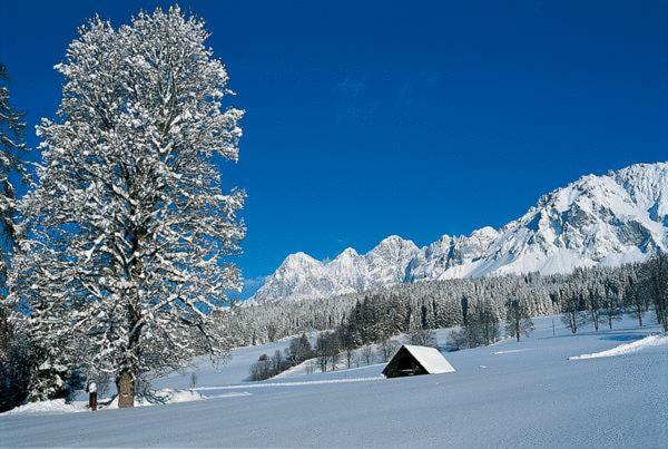 Bergfuehrerhaus Panzió Ramsau am Dachstein Kültér fotó