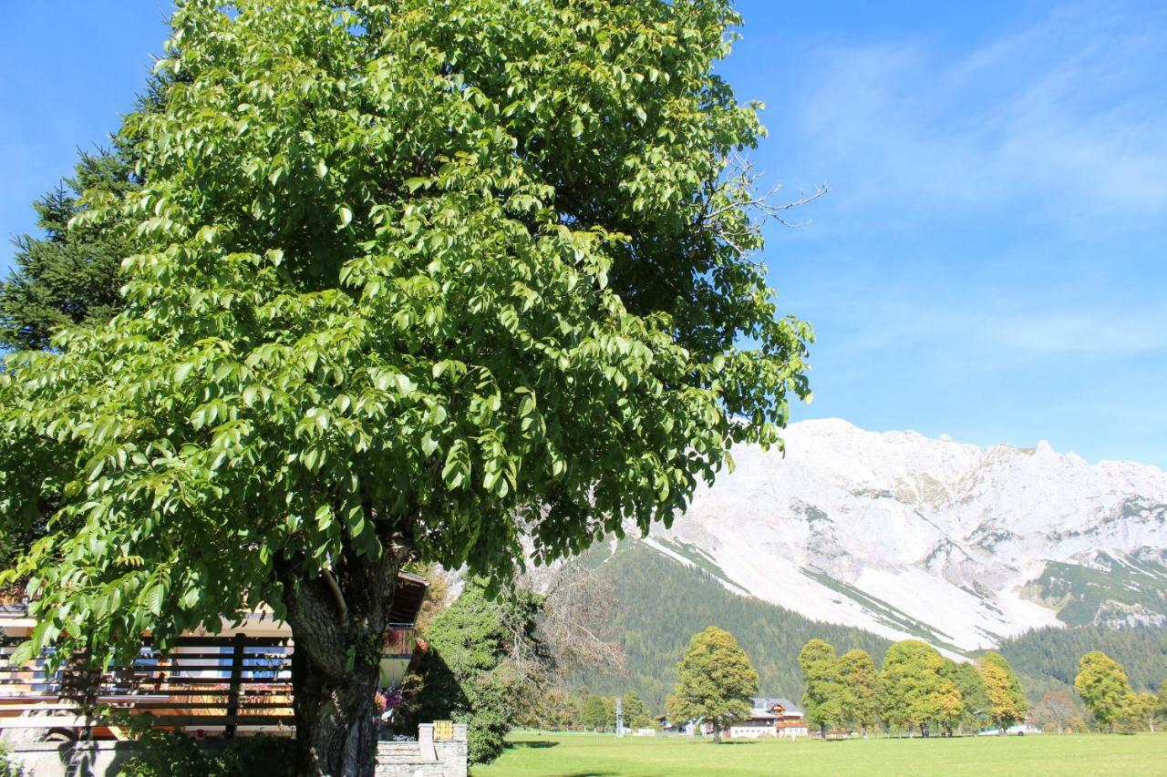 Bergfuehrerhaus Panzió Ramsau am Dachstein Kültér fotó
